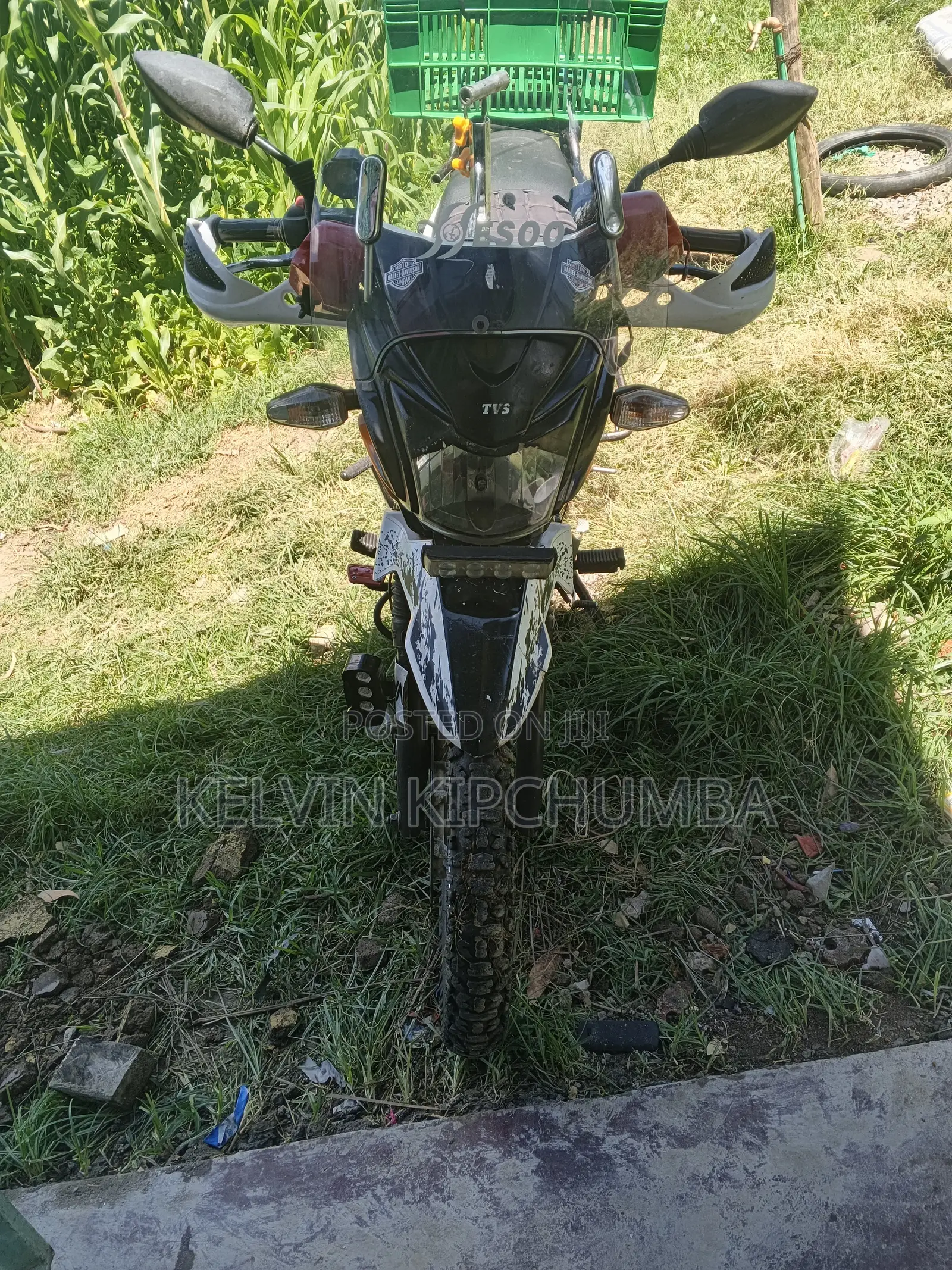 TVS Max 125 2017 Orange