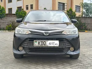 Toyota Corolla Fielder 2017 Black