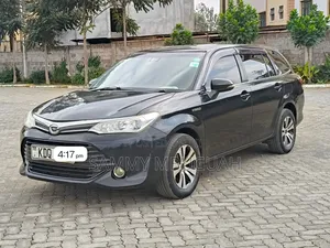 Toyota Corolla Fielder 2017 Black