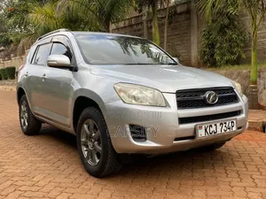 Toyota RAV4 2009 Silver