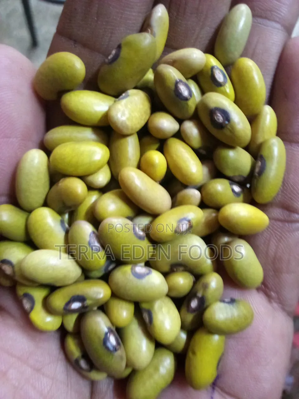 Yellow Beans