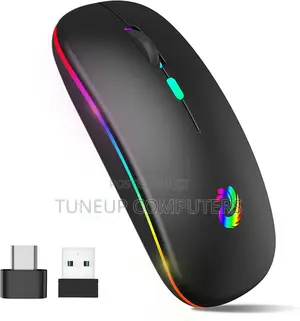 E1700 Rechargeable Mouse