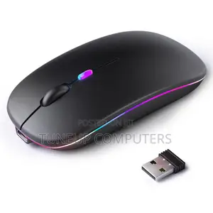 E1700 Rechargeable Mouse