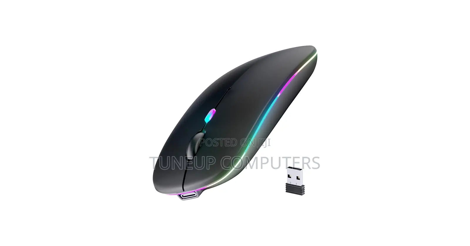 E1700 Rechargeable Mouse