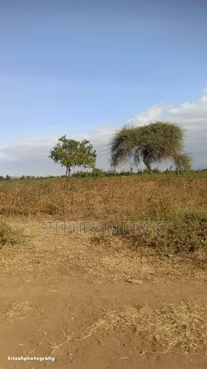 9acres for Sale at Loitoktok Kimana Area