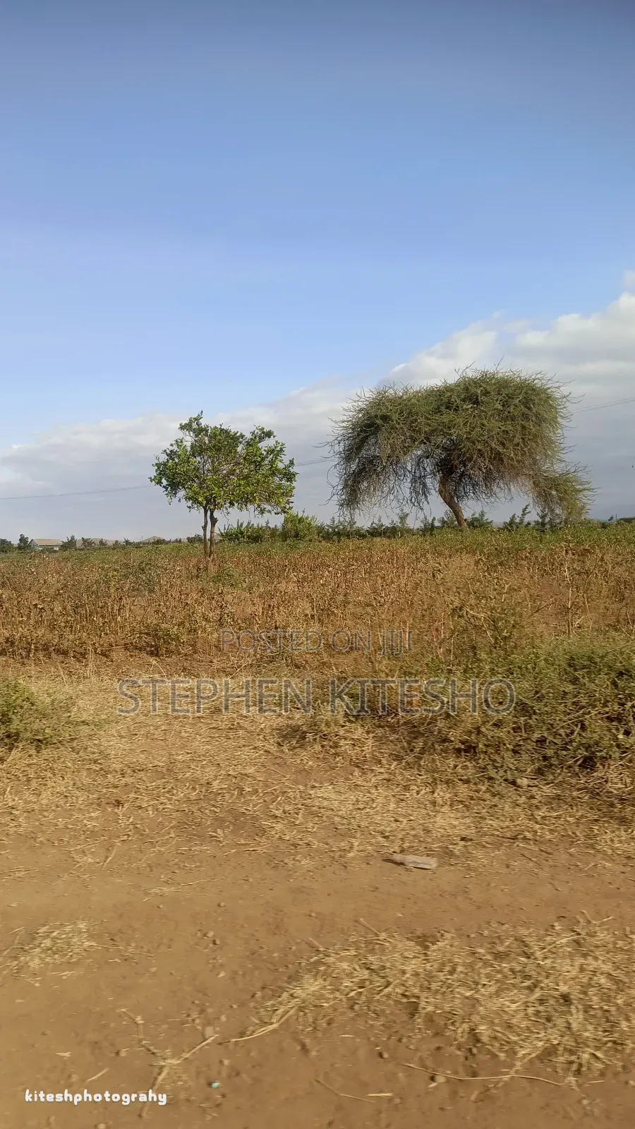 9acres for Sale at Loitoktok Kimana Area