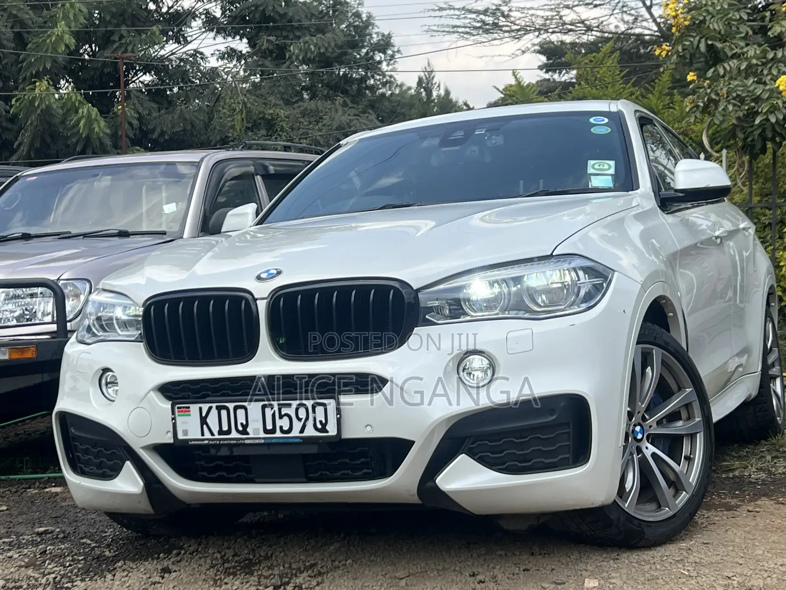 BMW X6 xDrive35i Coupe 4x4 (3.0L 6cyl 8A) 2017 White