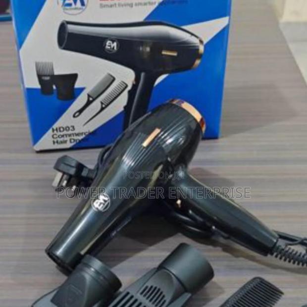 Electromate Blow Dry