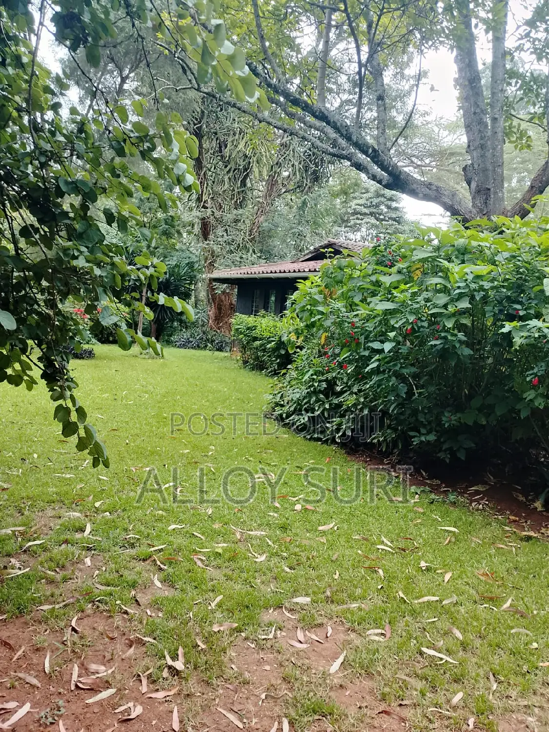 3bdrm Bungalow in Karen for rent