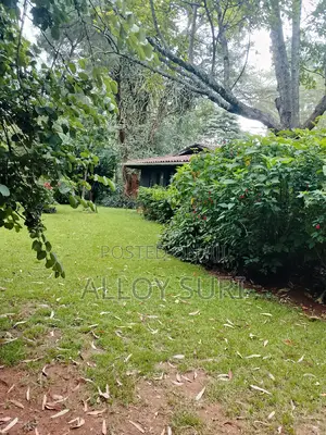 3bdrm Bungalow in Karen for rent