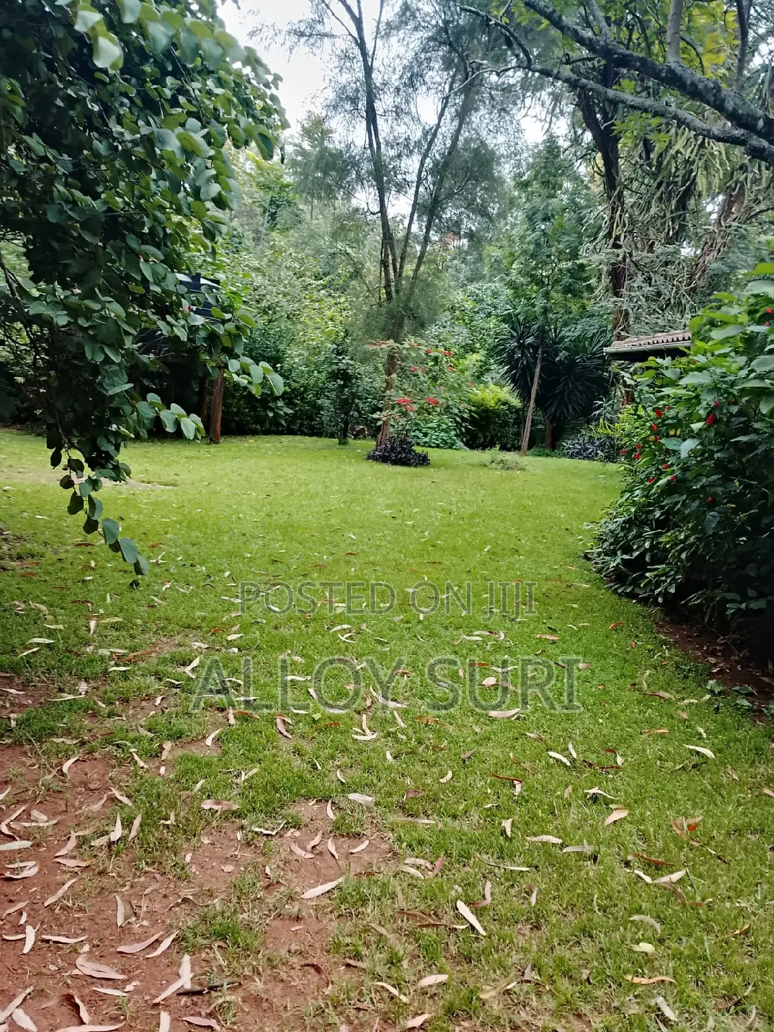 3bdrm Bungalow in Karen for rent