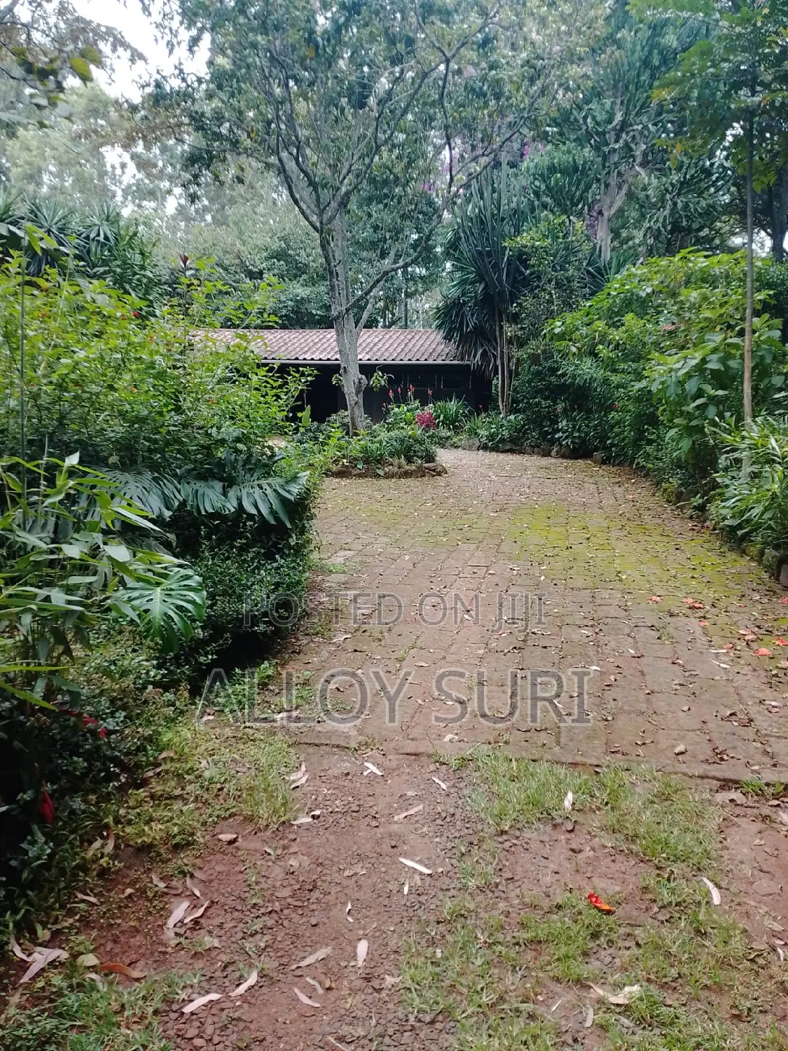 3bdrm Bungalow in Karen for rent