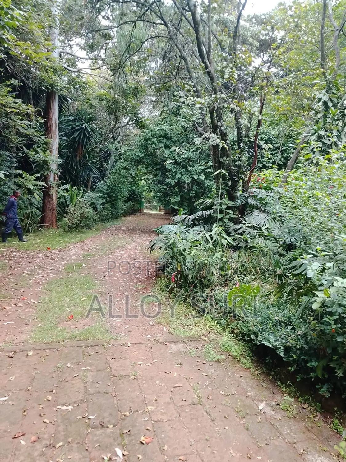 3bdrm Bungalow in Karen for rent