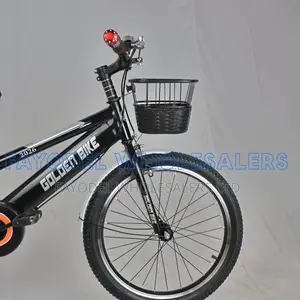 Golden Bike 20" Bike With Bell, Basket Mudguards