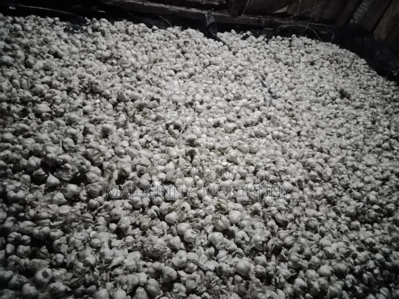 Garlic For Sale.