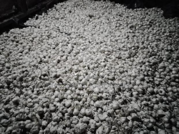 Garlic For Sale. - thumbnail 2