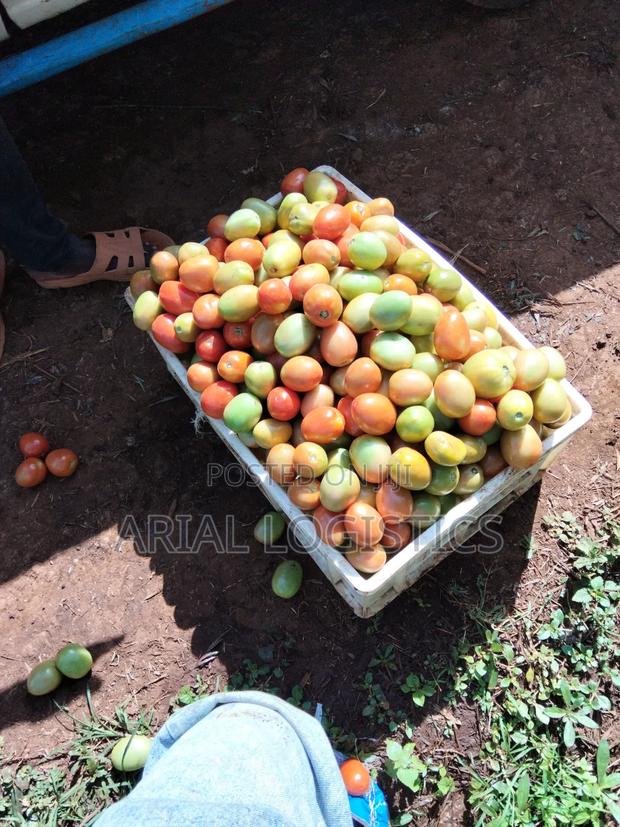 Tomatoes for Sale - thumbnail 2