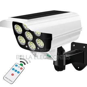 Solar Motion Sensor Light