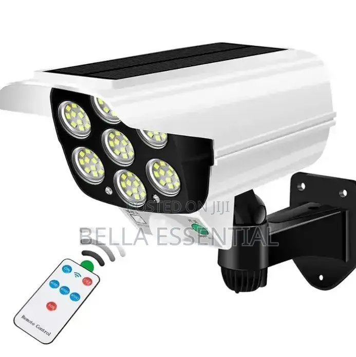 Solar Motion Sensor Light