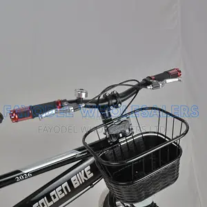 Golden Bike Size 20 With Basket and Rear Carrier