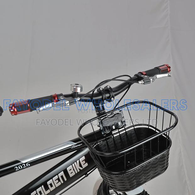 Golden Bike Size 20 With Basket and Rear Carrier