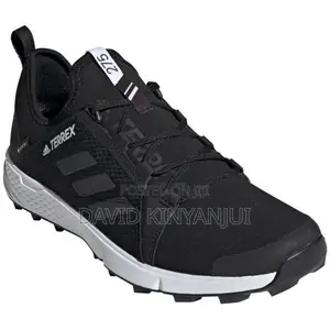 Adidas Terrex Speed GTX