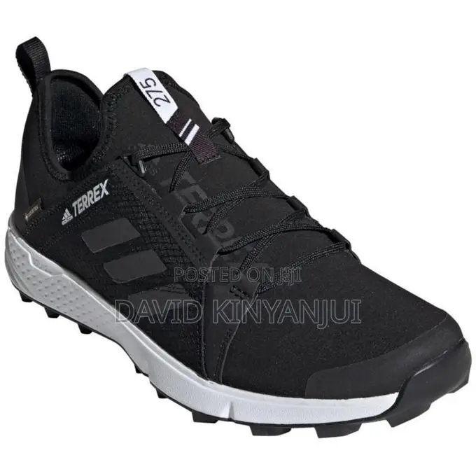 Adidas Terrex Speed GTX