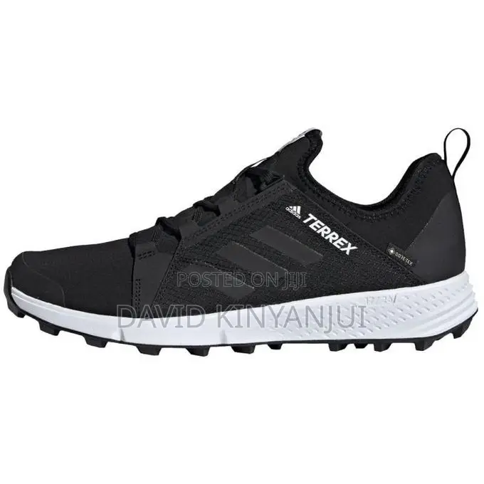 Adidas Terrex Speed GTX