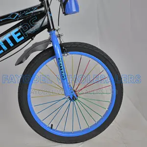 Seiters 20 Inch Bike With Sports Design