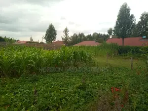 Half Acre Kileleshwa