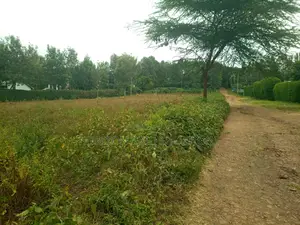 Half Acre Kileleshwa