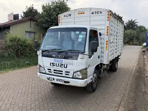 Isuzu NKR 2019 White
