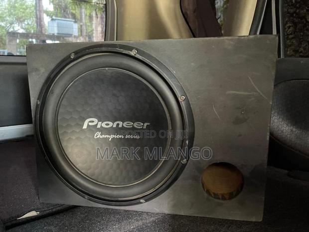 Pioneer Speaker