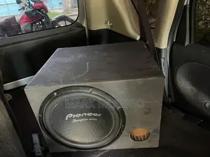 Pioneer Speaker