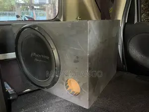Pioneer Speaker