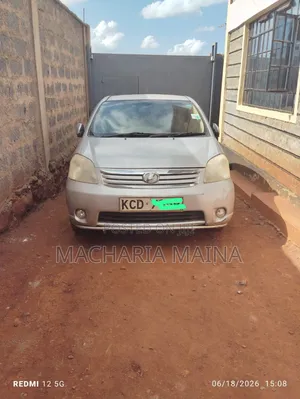 Toyota Raum 2011 Silver