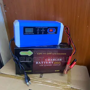 Intelligent Pulse Repair Battery Charger – 12v/24v Universal Compatib