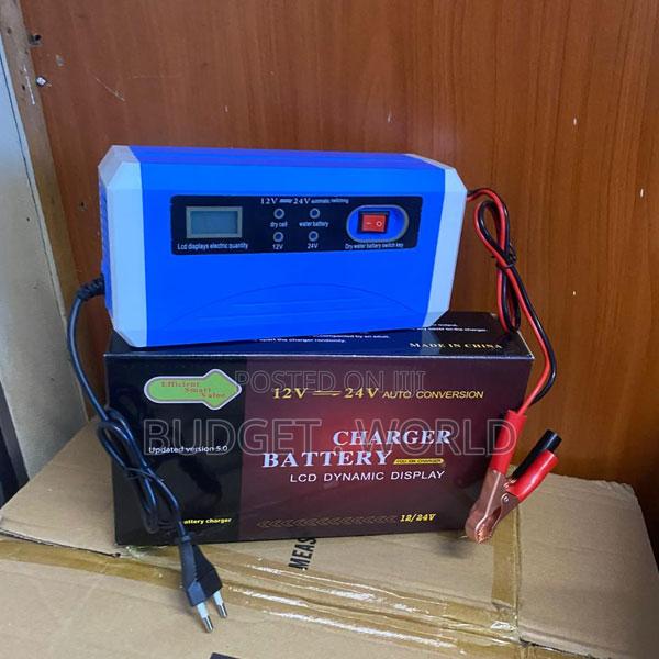 Intelligent Pulse Repair Battery Charger – 12v/24v Universal Compatib