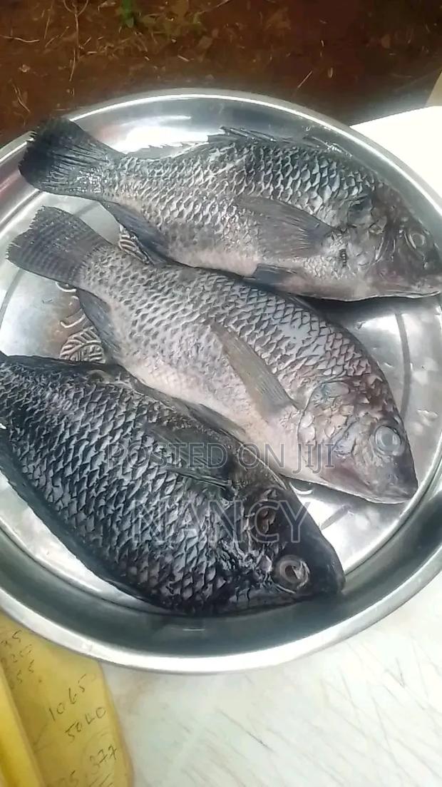 Cooked Marinated Tilapia Fish - main view