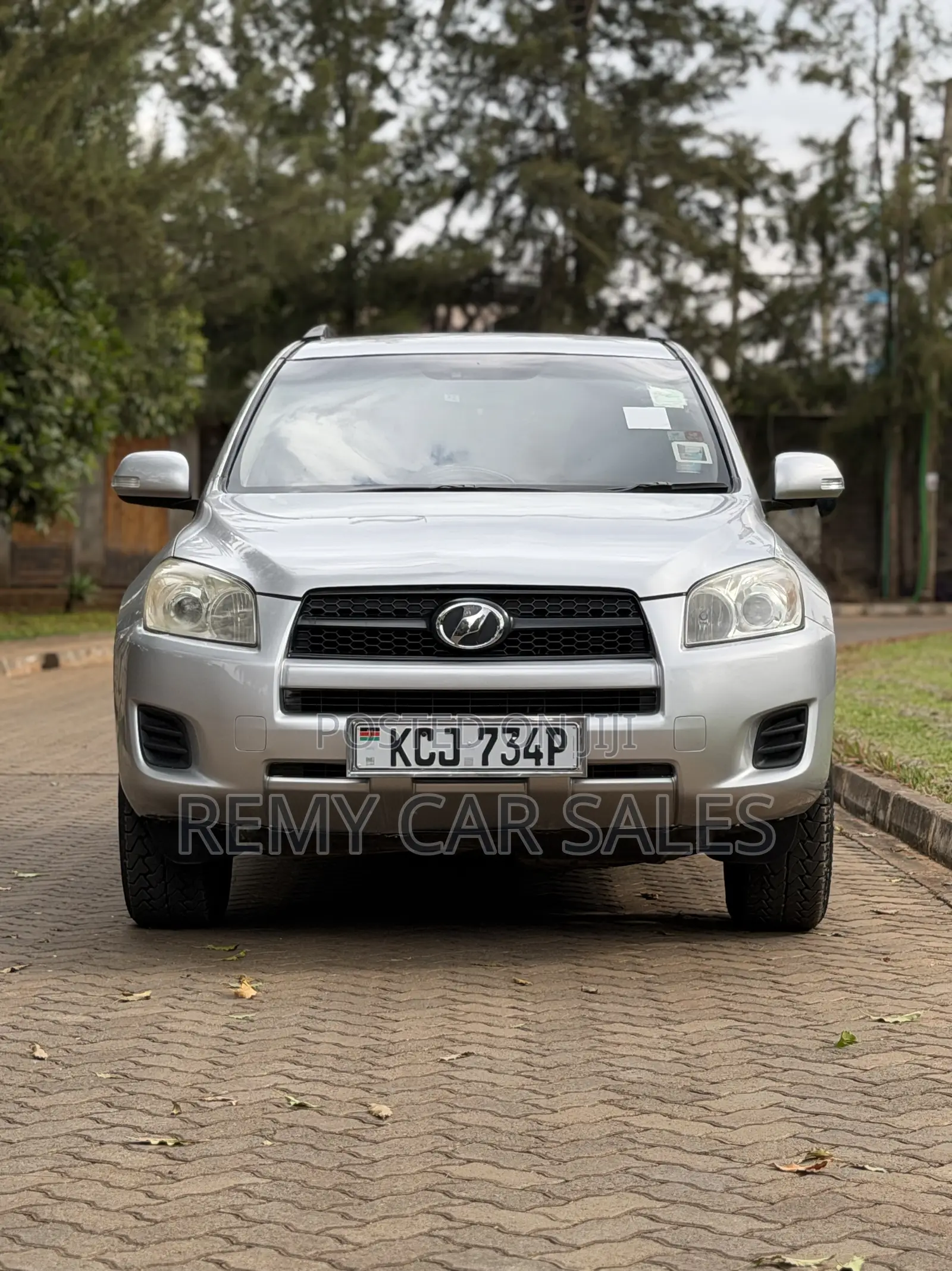 Toyota RAV4 2010 Silver
