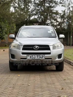 Toyota RAV4 2010 Silver