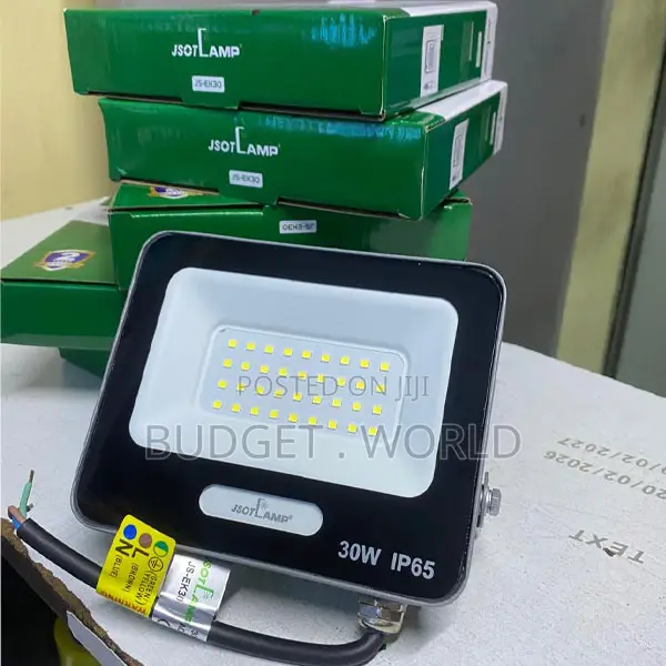 Jsot 30w Ac Outdoor Waterproof Led Floodlight – Bright Security Lan