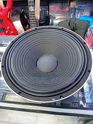15ah25 15inch Derwel Speaker