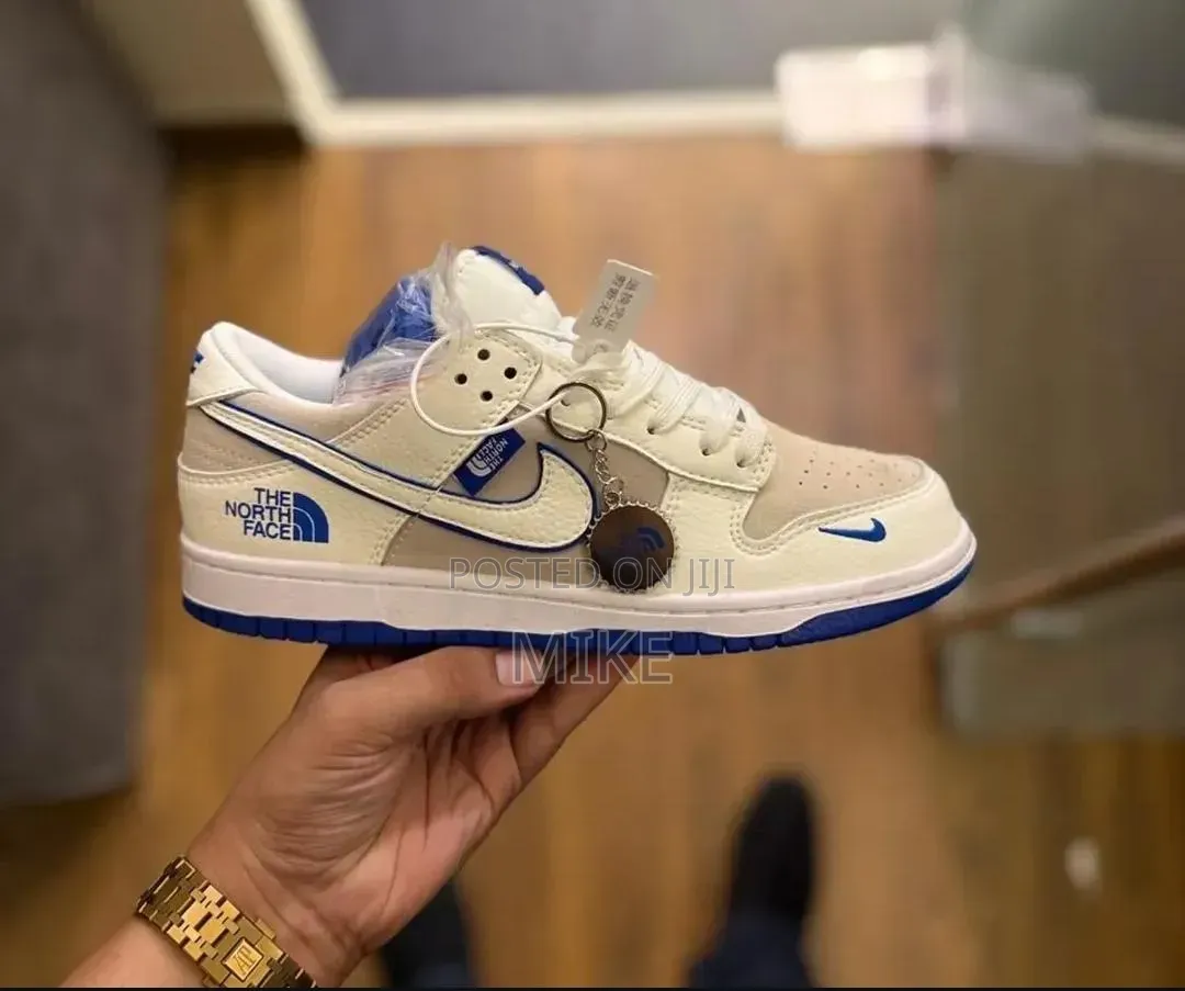 Nike Sb Northface Shoes 