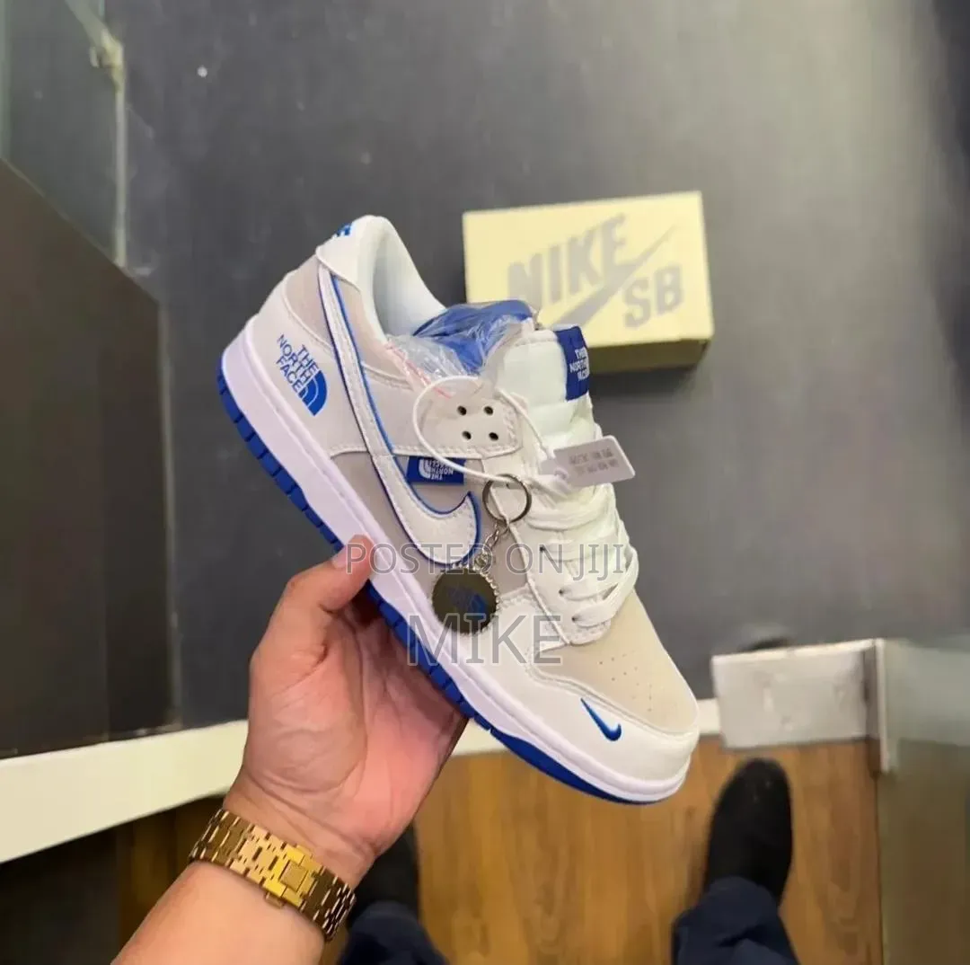 Nike Sb Northface Shoes 
