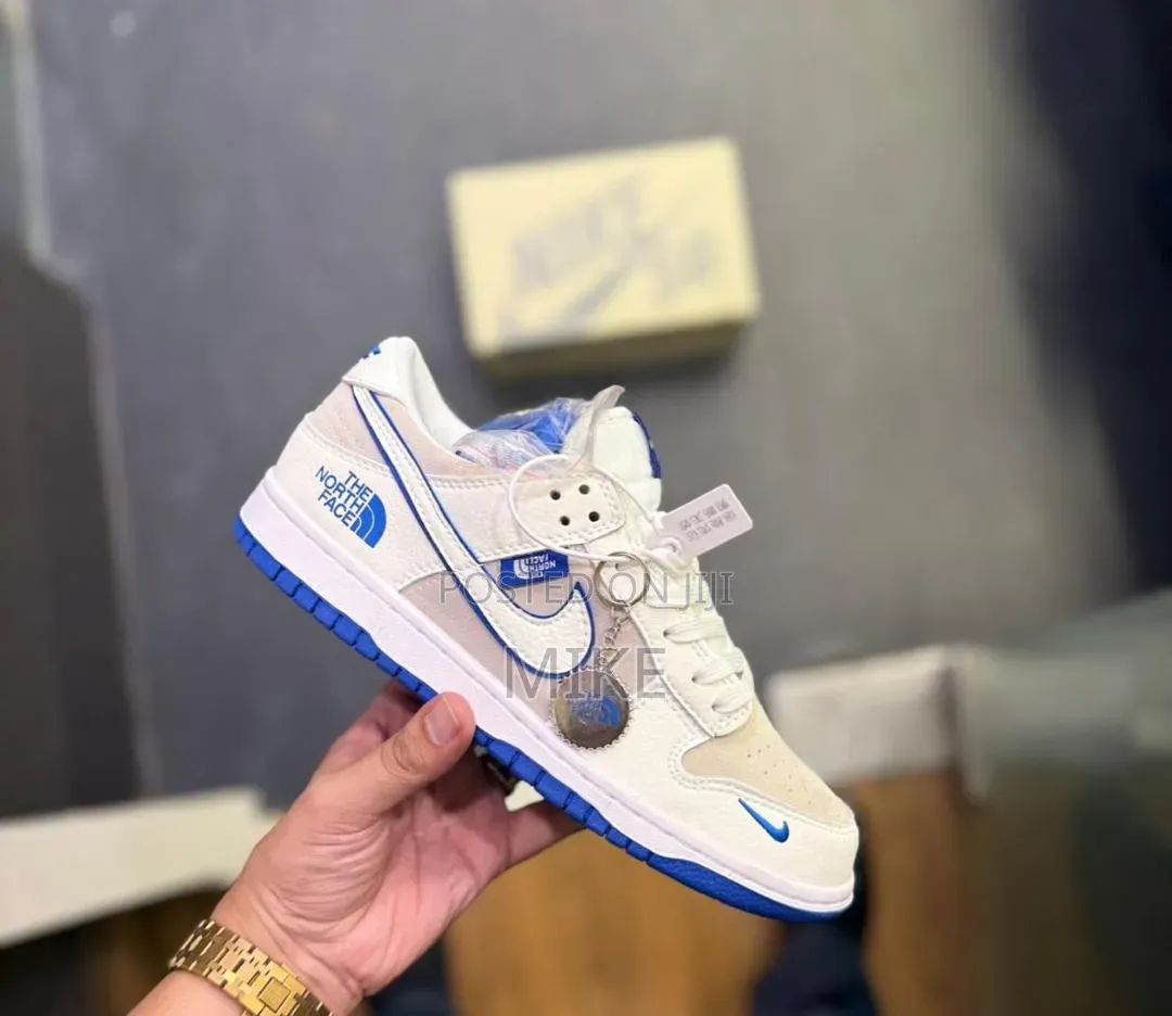 Nike Sb Northface Shoes 
