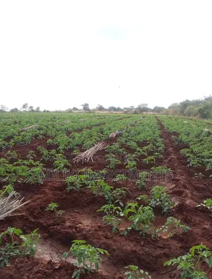 2000 Acres on Sale at Macakos-Masinga
