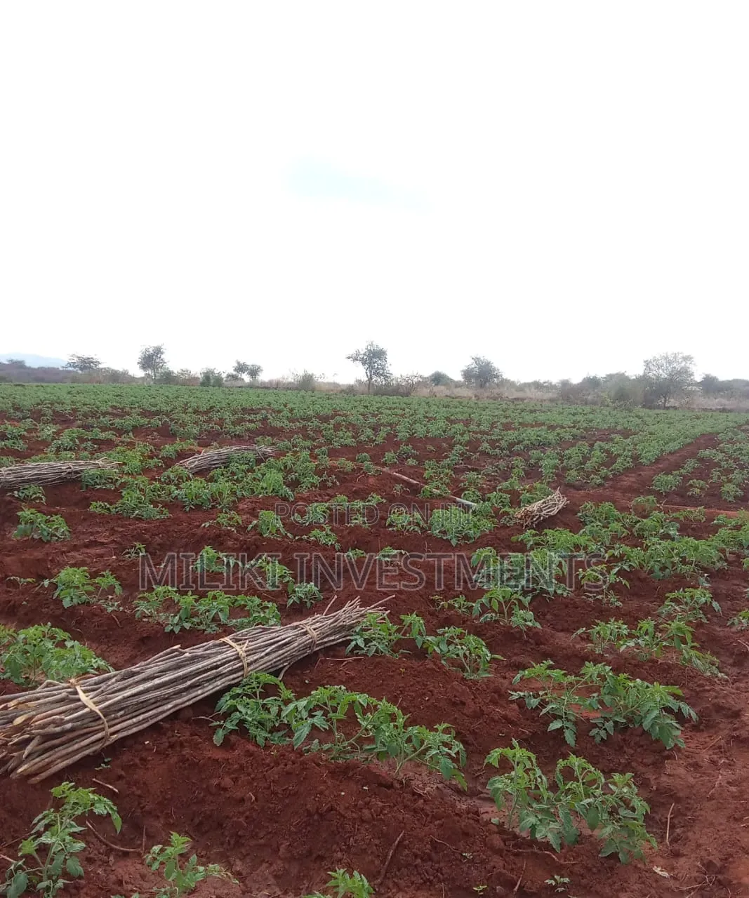 200 Acres on Sale at Macakos-Masinga