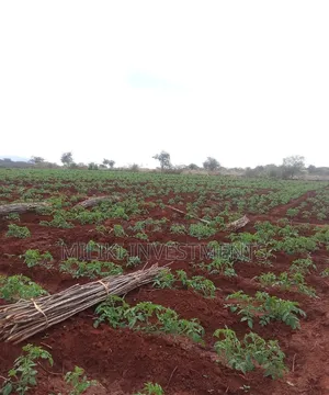 200 Acres on Sale at Macakos-Masinga