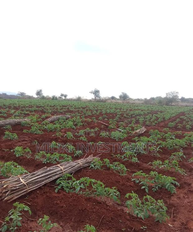 2000 Acres on Sale at Macakos-Masinga - thumbnail 3